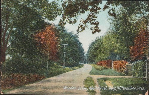 White fish bay wooded - fish, drive