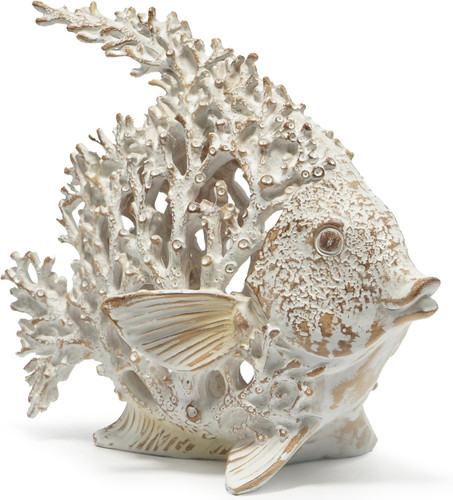 Sea coral fish - coral,