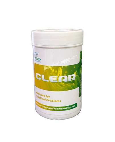 Flowerhorn fish medicine - flowerhorn,