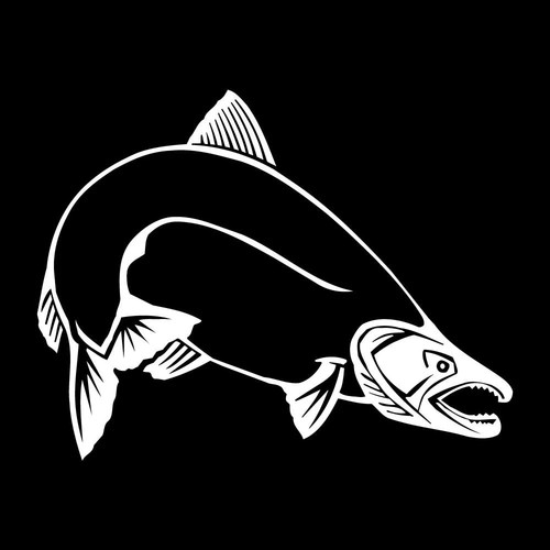 Salmon fish fishing - fish, decal